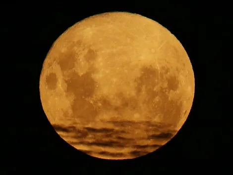 ¿Cuándo hay que cortarse el pelo en noviembre?