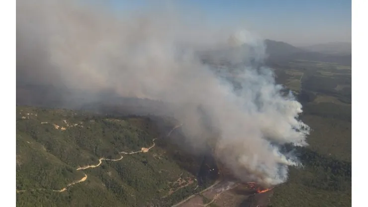 Incendio forestal en Molina