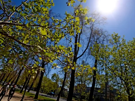 ¿Cómo estará el tiempo en Santiago este lunes 17 de octubre?