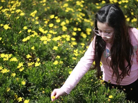 ¿Cómo estará el tiempo este fin de semana en Santiago?