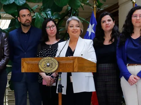Gobierno anuncia extensión del postnatal de emergencia hasta noviembre