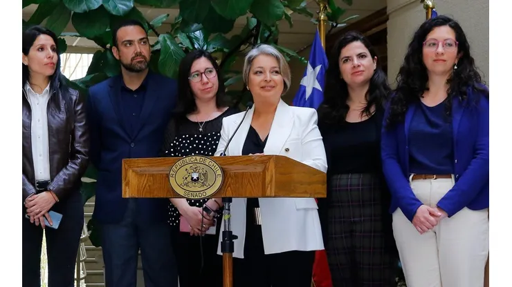 Gobierno anuncia extensión del postnatal de emergencia hasta noviembre