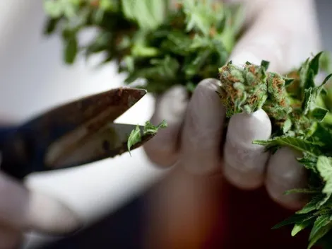 EEUU indultará a 6.500 condenados por posesión de marihuana