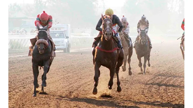 El Gran Criterium 2022 se disputará en el Hipódromo de Santiago.