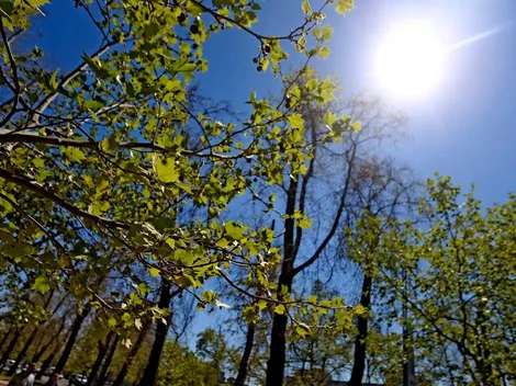 ¿Cuánto dura la primavera y cuándo comienza el verano en Chile?
