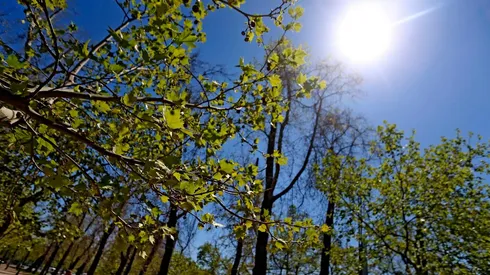¿Cuánto dura la primavera y cuándo comienza el verano en Chile?