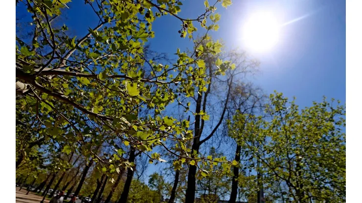 ¿Cuánto dura la primavera y cuándo comienza el verano en Chile?