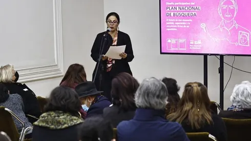 La ministra Marcela Ríos encabeza el plan.