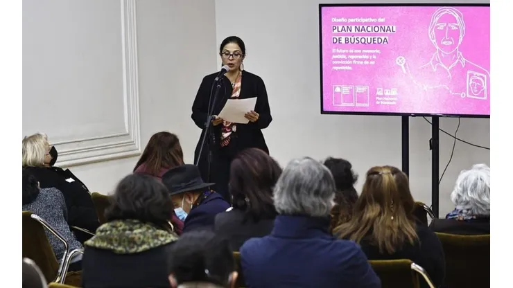 La ministra Marcela Ríos encabeza el plan.