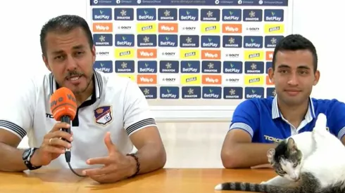 El gato se robó las miradas en la conferencia de prensa de Osomarso.