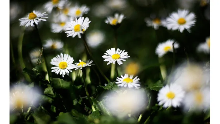 ¿A qué hora comienza la primavera este jueves 22 de septiembre?