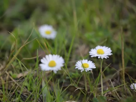 ¿Cuándo termina el invierno?