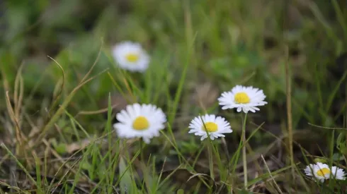 ¿Cuándo termina el invierno?