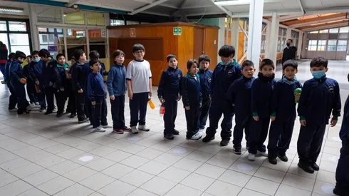 ¿Desde cuándo puedo consultar con mi RUT si soy beneficiario del Bono Logro Escolar?