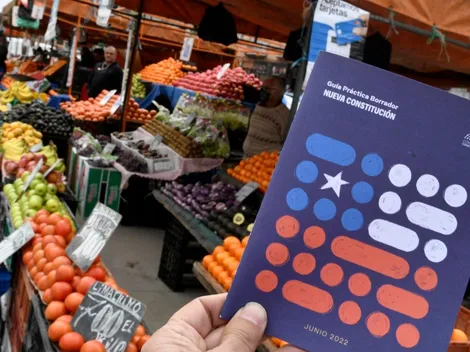 ¿Qué dicen las constituciones de otros países en cuanto a derechos sociales?