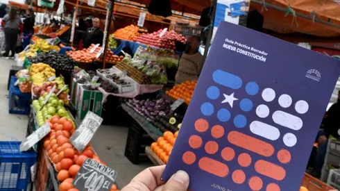 ¿Qué dicen las constituciones de otros países en cuanto a derechos sociales?