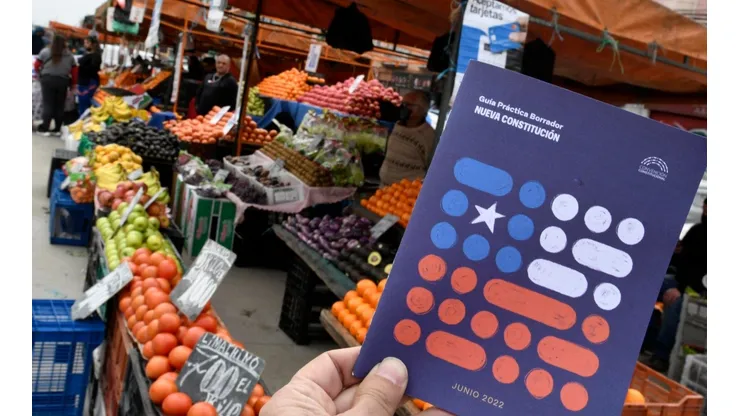 ¿Qué dicen las constituciones de otros países en cuanto a derechos sociales?