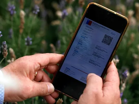 ¿Qué dijo el Minsal sobre la exigencia del Pase de Movilidad para el Plebiscito?