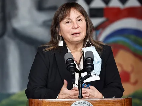 Ministerio de Desarrollo Social habría realizado 'telefonazo' a Llaitul