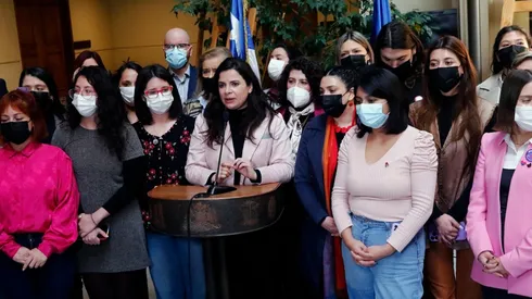 La ministra de la Mujer, Antonia Orellana, en el Congreso.