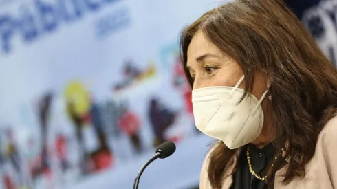 Ministra de Salud, María Begoña Yarza