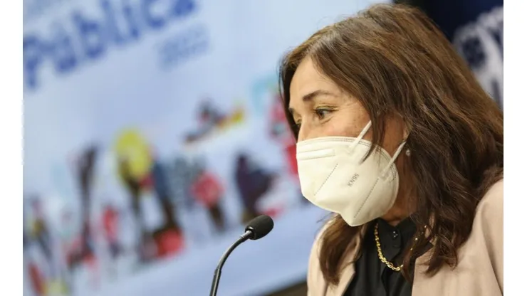 Ministra de Salud, María Begoña Yarza