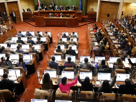 ¿Qué diputadas y diputados deben hacerse un test de drogas?