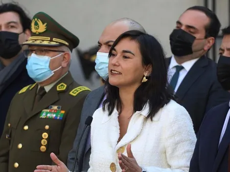 ¿Qué es el Ministerio de Seguridad y qué funciones cumpliría?