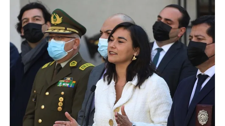 ¿Qué es el Ministerio de Seguridad y qué funciones cumpliría?