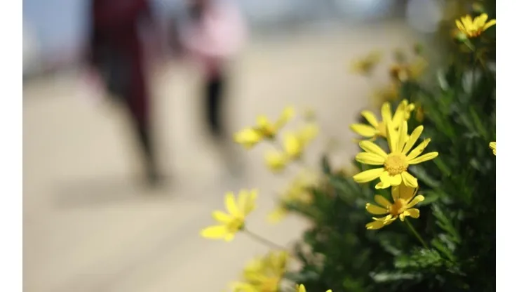 ¿Cuándo comienza la primavera en Chile?