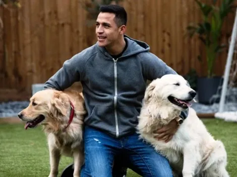 "Para ganar un trofeo, debes estar feliz en casa con tus perros"