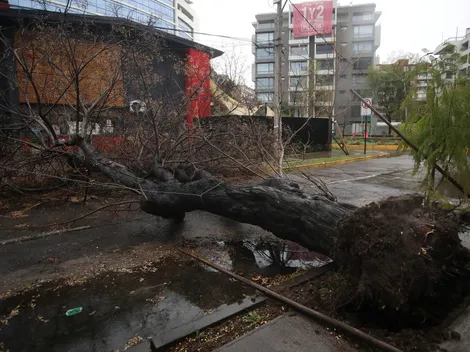 Alerta Meteorológica: Vientos, Granizos y Tormentas Azotarán la RM