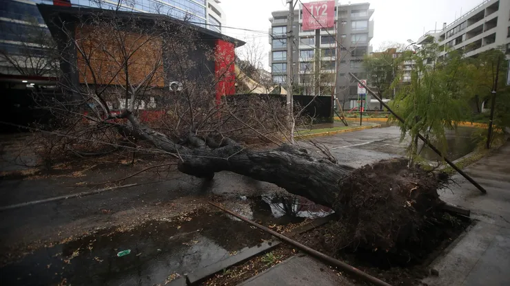 A principio de mes fuertes ráfagas de viento provocaron la caída de un gran número árboles.