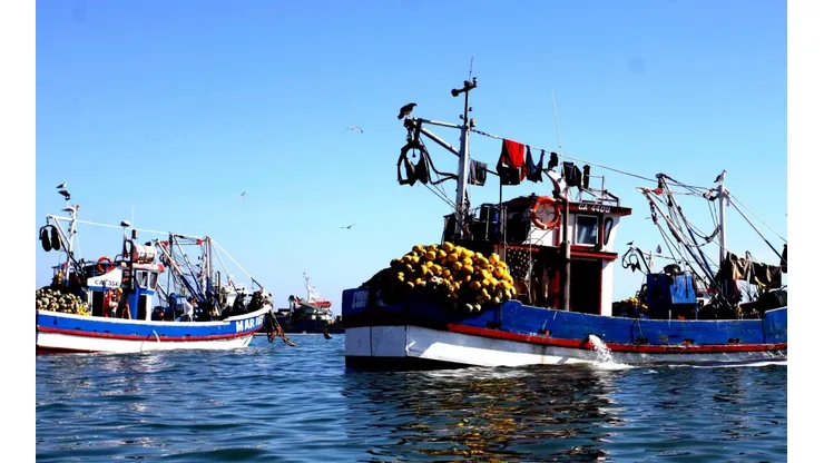 ¿Qué significa que la Ley de Pesca se haya anulado?