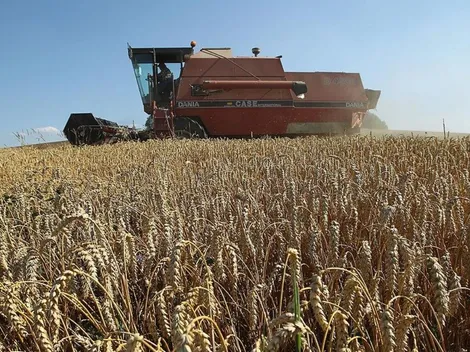 Precios de los alimentos disminuyen 8,6% a nivel mundial