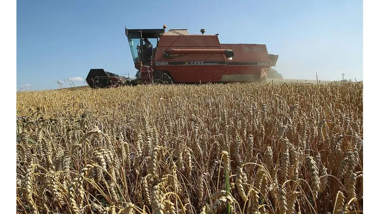 Precios de los alimentos disminuyen 8,6% a nivel mundial