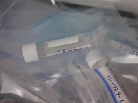 ¿Puedo realizarme exámenes en horario laboral?