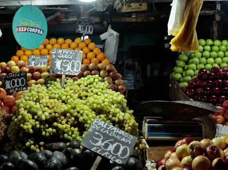 ¿Se postula al Bono Canasta Básica y cómo saber si soy beneficiario?