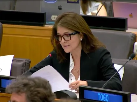 Chile será vicepresidente del Consejo Económico y Social de Naciones Unidas