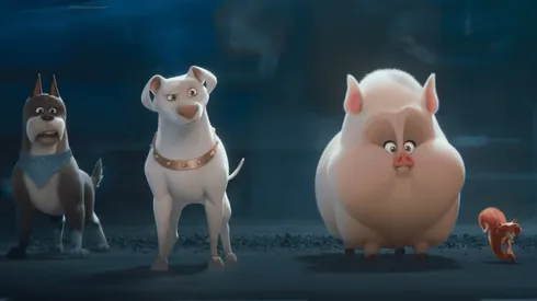 DC Liga de supermascotas