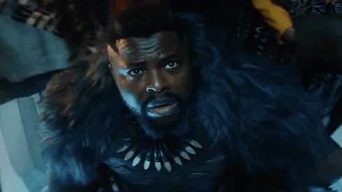 ¿Quién será el nuevo Pantera Negra?