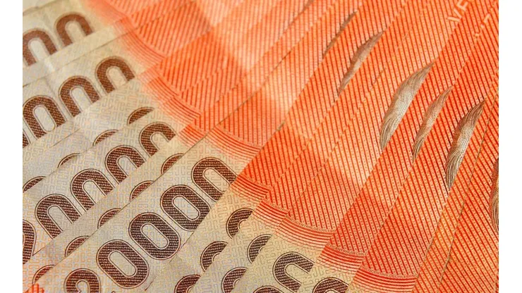 ¿Cuándo pagan el próximo monto y quiénes reciben el Ingreso Mínimo Garantizado?
