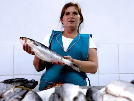 ¿Cómo se postula al Bono Mujer Trabajadora y qué requisitos tiene?
