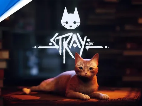 ¡Ya está disponible el juego Stray!