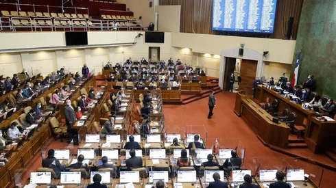 La Cámara de Diputados analizará las ayudas propuestas por el Gobierno.