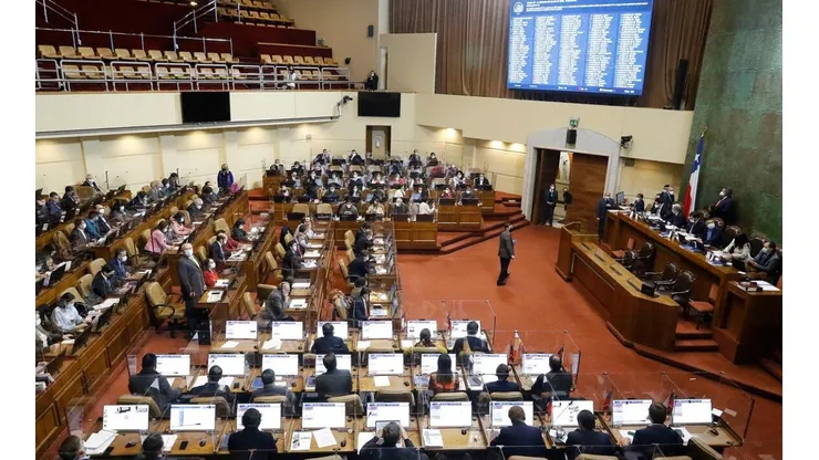 La Cámara de Diputados analizará las ayudas propuestas por el Gobierno.