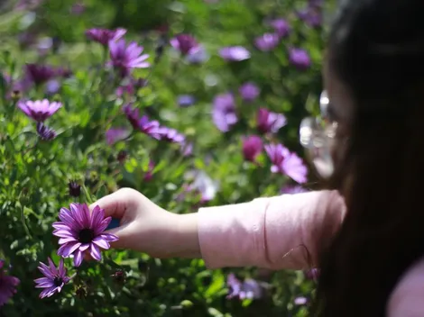 ¿Cuándo termina el invierno y qué día comienza la primavera?