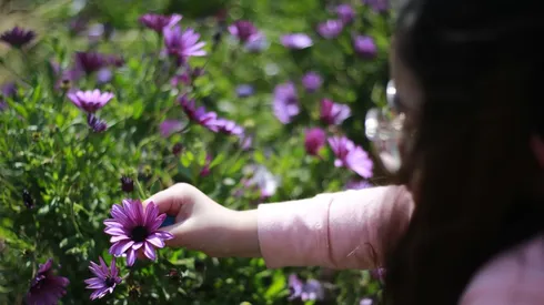 ¿Cuándo termina el invierno y qué día comienza la primavera?