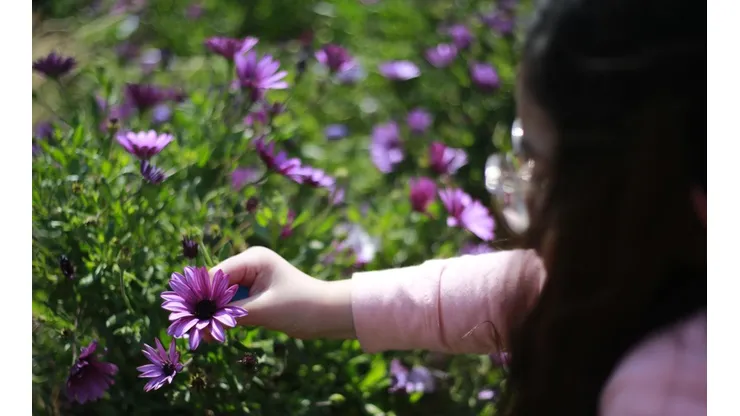 ¿Cuándo termina el invierno y qué día comienza la primavera?
