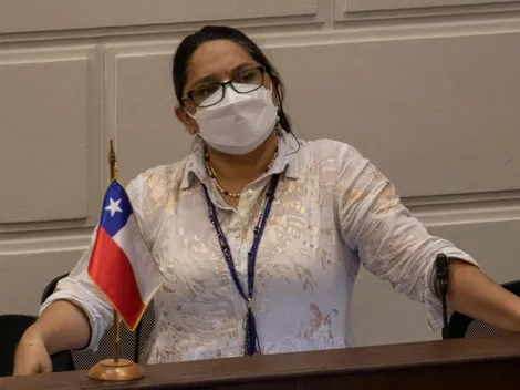 Exconvencional de Republicanos en contra de que exista nueva Constitución